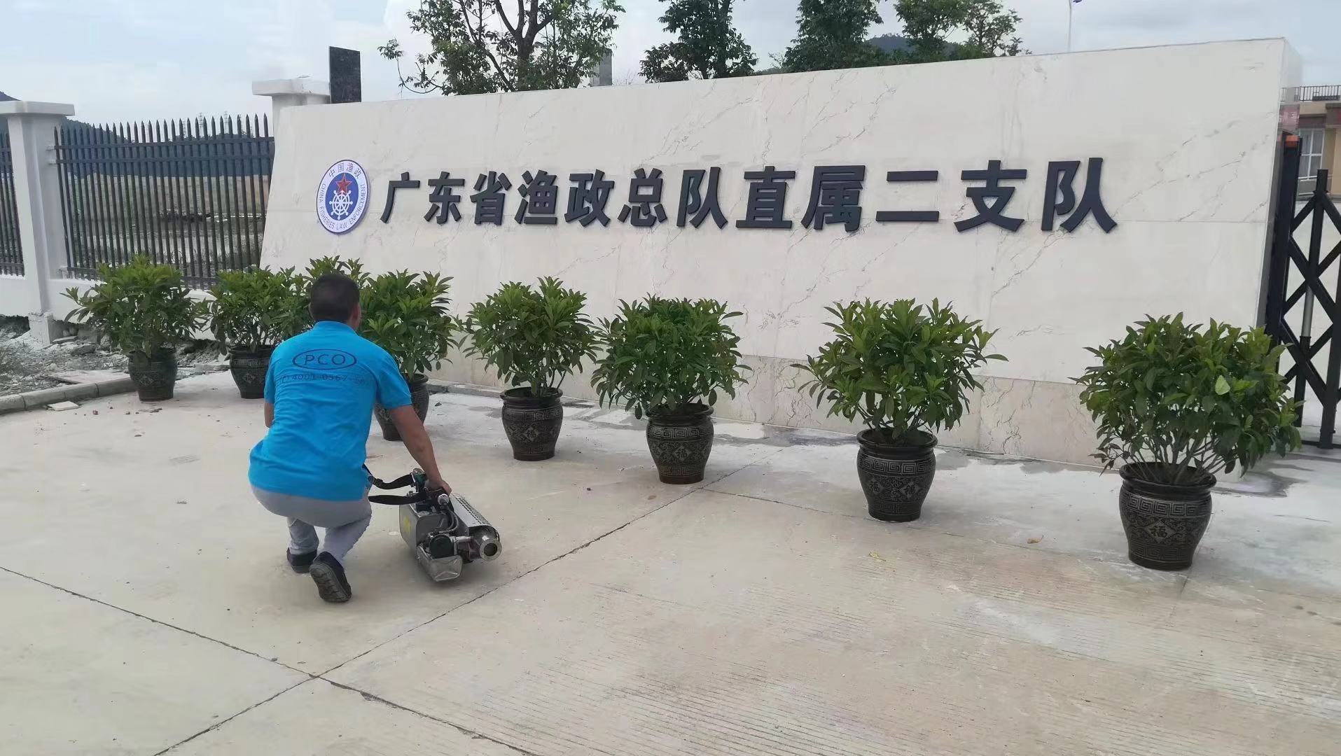 怀疑家里有白蚁 为什么一定要做白蚁预防？-彩九九(图1)
