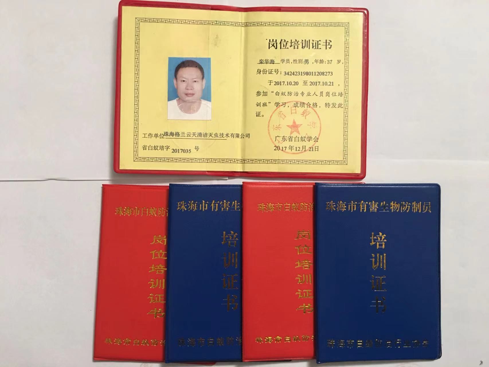 珠海别墅如何灭白蚁和进行白蚁防治?-珠海白蚁预防--珠海格兰云天来帮忙(图1)