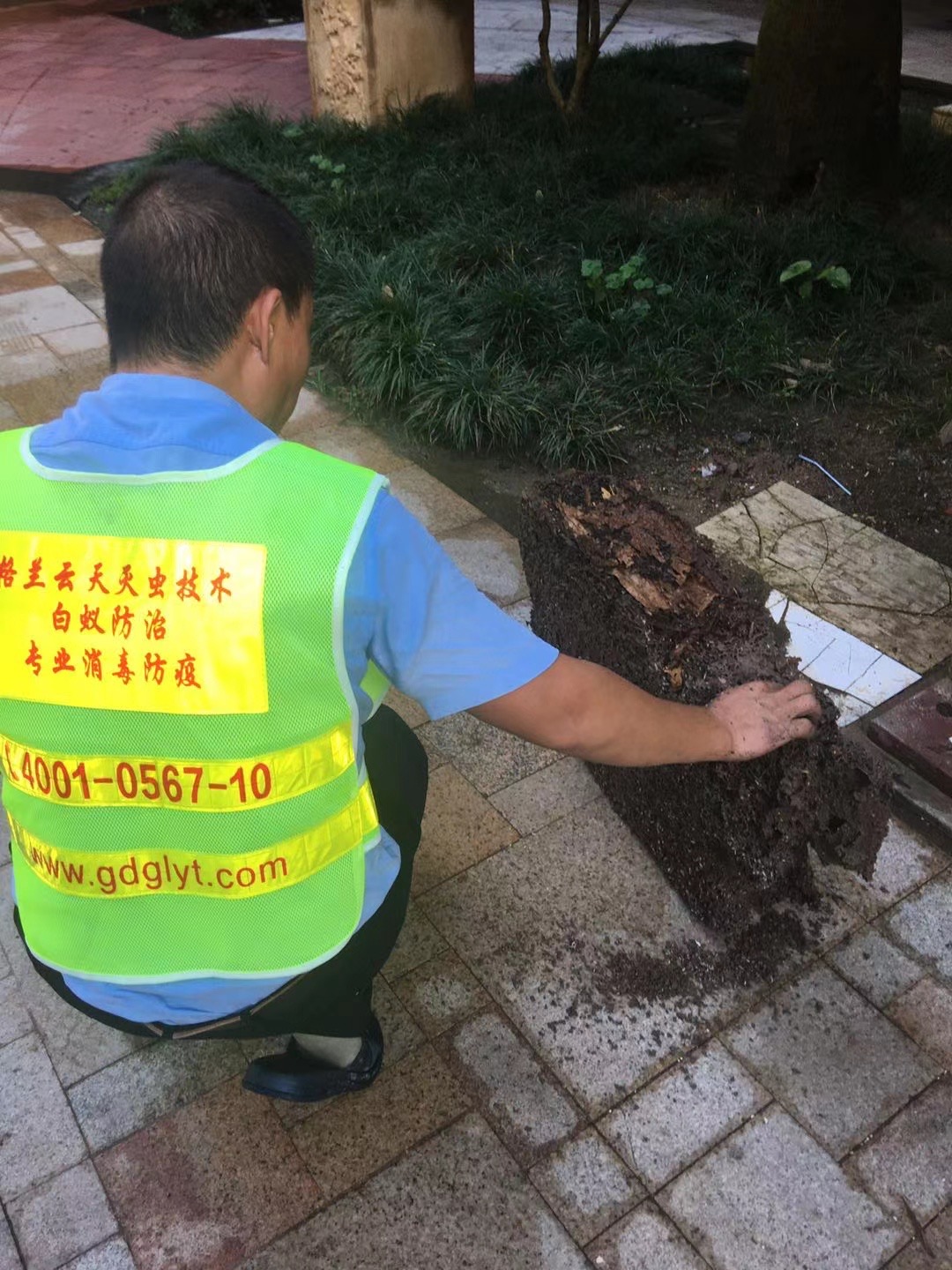 珠海白蚁防治中心横琴新区正确进行白蚁防治-新建预防白蚁技术-收费-标准 --彩九九(图1) 珠海白蚁防治中心横琴新区正确进行白蚁防治-新建预防白蚁技术-收费-标准 --彩九九(图1)