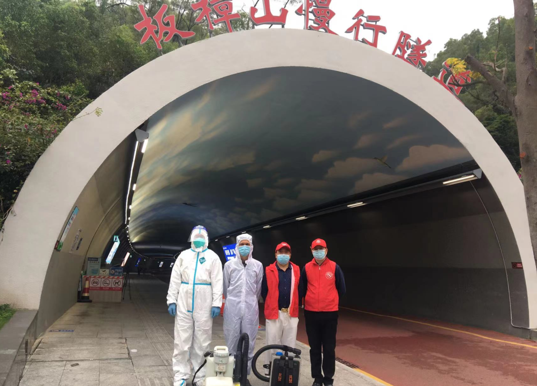 坦洲怎样预防白蚁 坦洲灭杀白蚁公司 坦洲白蚁防治中心(图1)