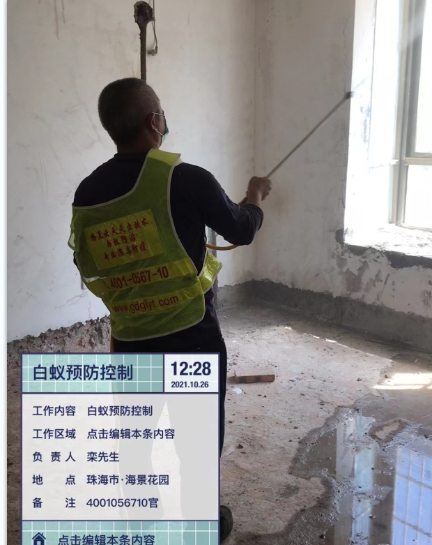 珠海建筑散白蚁防治方法的分享 及 木地板白蚁防治(图4)