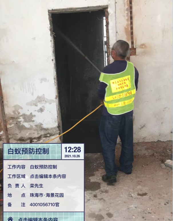 珠海怎样灭杀老鼠 珠海装修白蚁预防-珠海白蚁防治公司-彩九九(图3)
