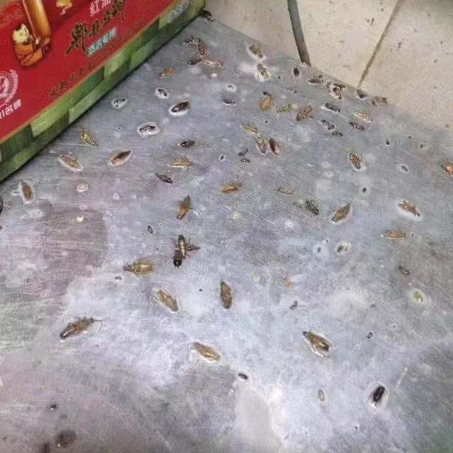 1-220204013345B4.jpg