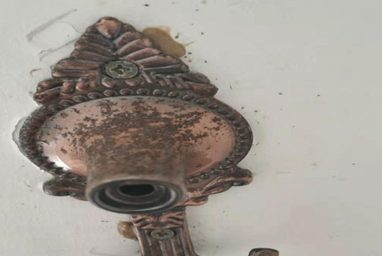 珠海 金鼎 金湾 唐家 红旗 横琴 斗灭 除四害灭蟑螂厂家- 格兰云天灭虫技术(图1)