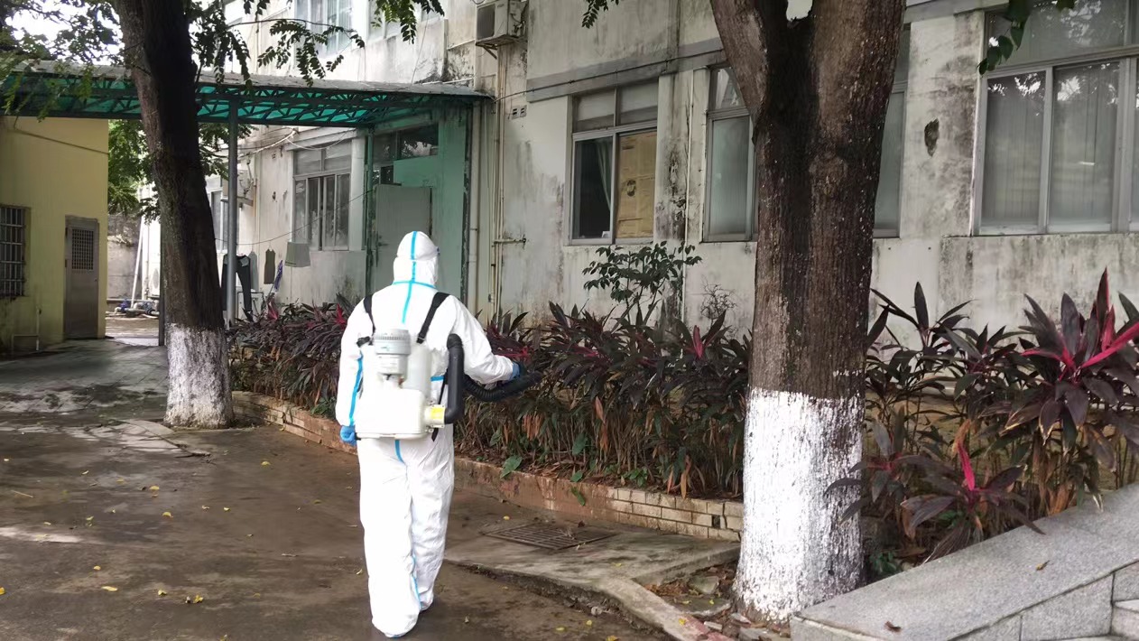 珠海新建房屋白蚁预防  金鼎白蚁防治(图1)
