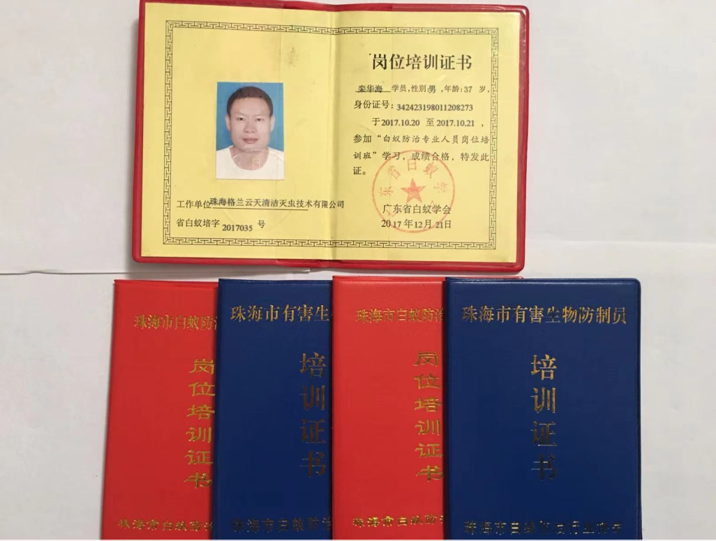 珠海消杀除四害 白蚁防治中心 白蚁预防控制中心 彩九九(图3)