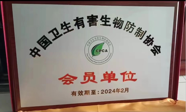 南屏白蚁防治 南屏白蚁预防 南屏灭杀白蚁公司-彩九九(图1)
