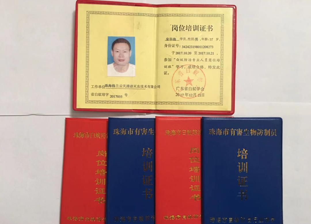 南屏白蚁防治 南屏白蚁预防 南屏灭杀白蚁公司-彩九九(图5)