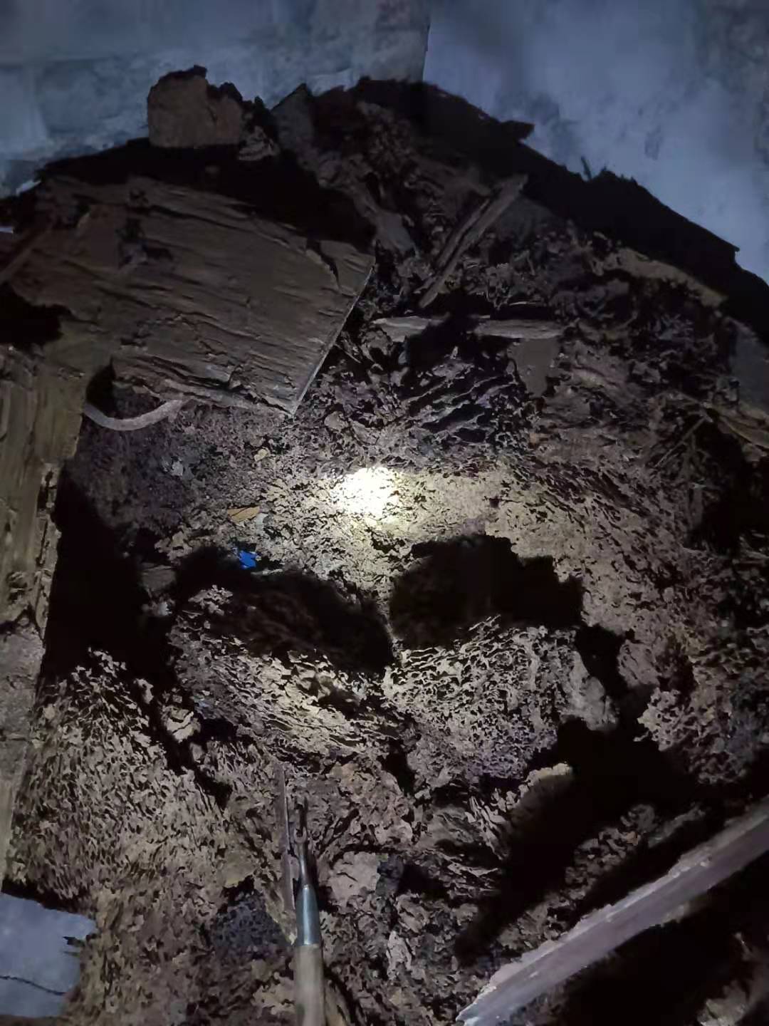 1613117442123415.jpg