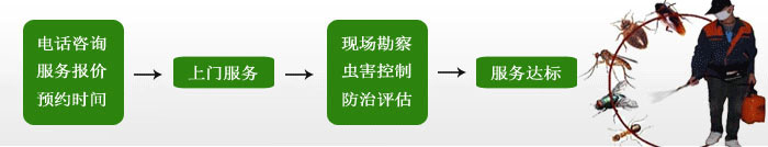 家庭杀虫流程 家庭杀虫流程