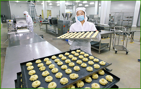 食品行业虫害防治效果