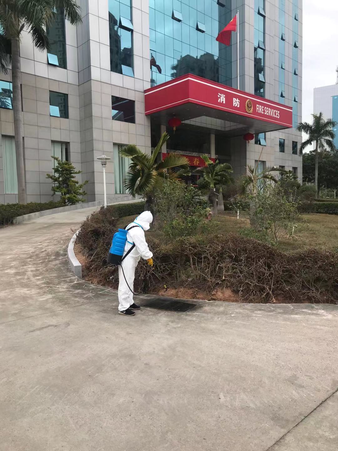 珠海灭蟑螂公司教您怎样彻底杀绝蟑螂(图13)