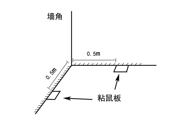 粘鼠板安放示意图