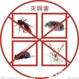 观澜哪里餐厅灭蟑螂联系电话