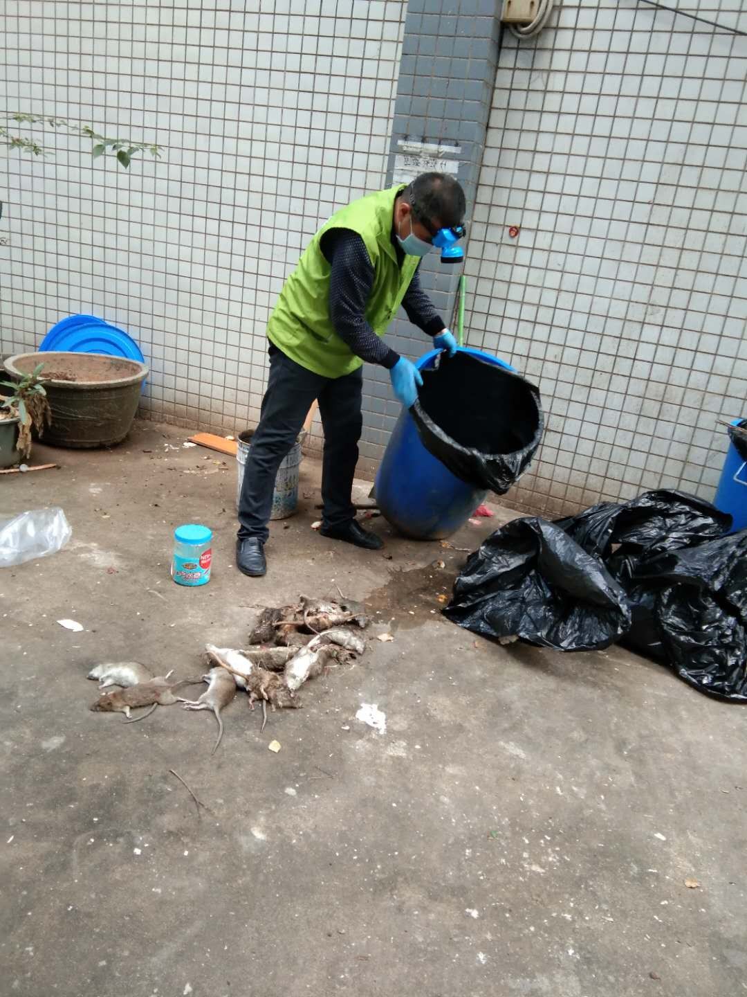石龙工厂宿舍灭鼠公司专业服务到位【灭鼠】