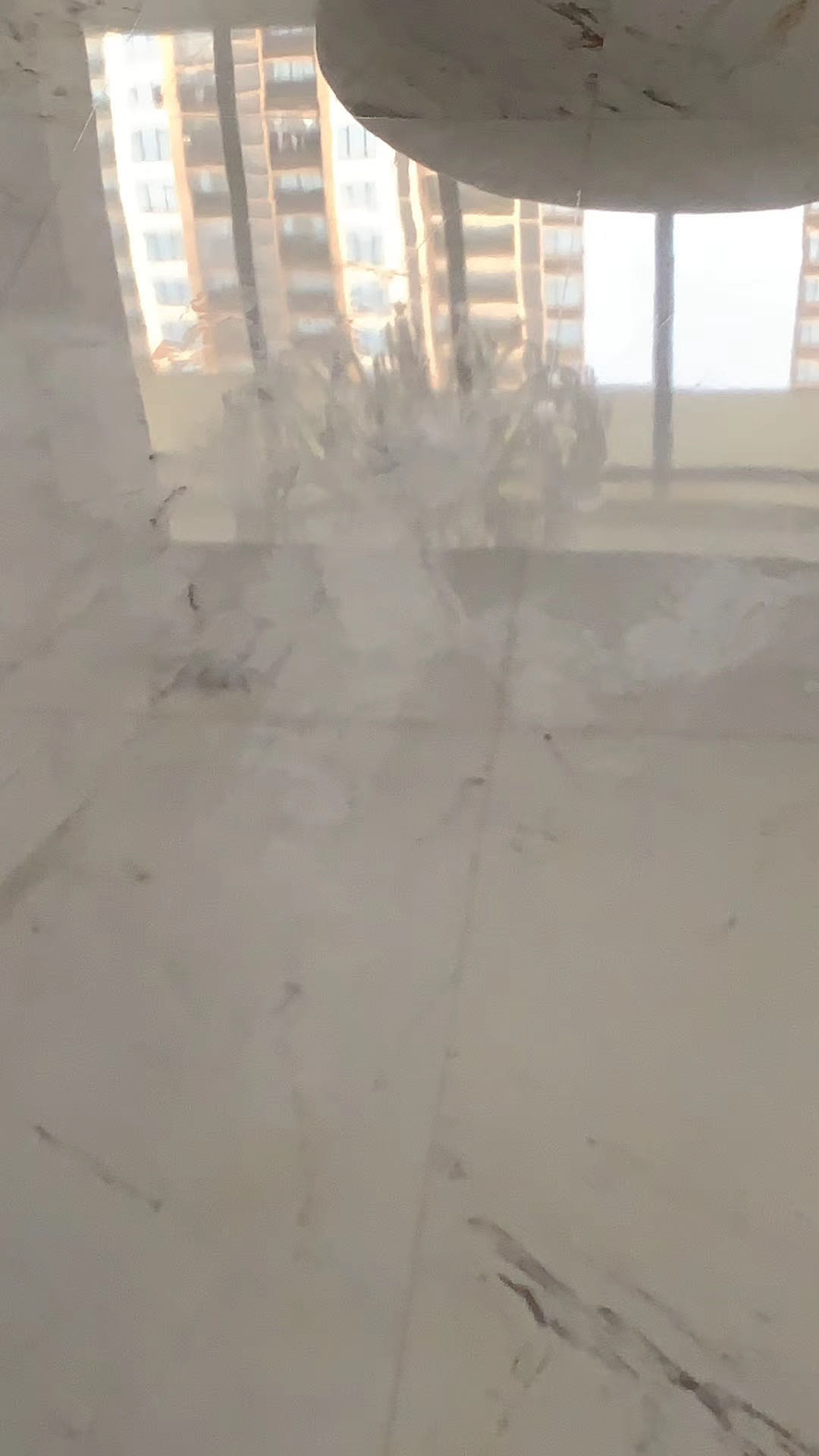1590923299552355.jpg