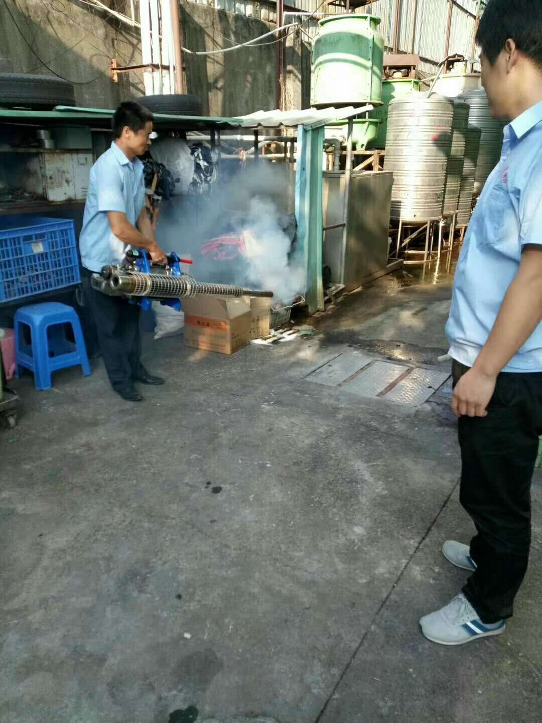 塘厦杀虫多少钱【专业杀虫】