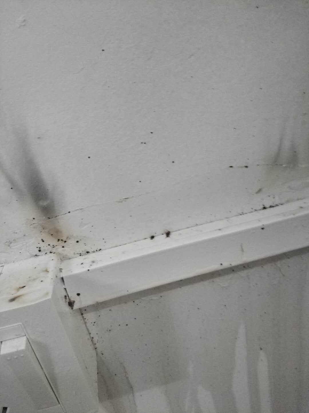 保税区工厂杀臭虫多少钱【专业灭臭虫机构】