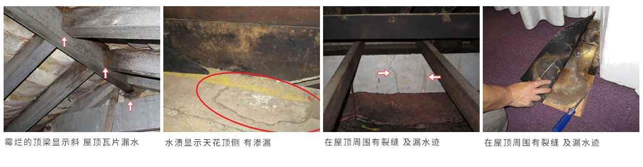 珠海别墅白蚁防治 珠海别墅白蚁预防 珠海白蚁防治方法-珠海格兰云天灭虫技术有限公司   (图6)