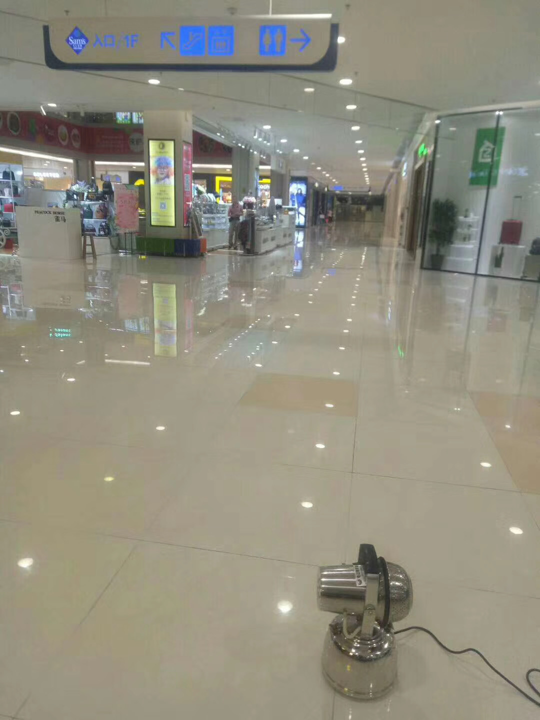珠海白蚁防治 珠海消杀公司 珠海白蚁预防控制中心(图7) 珠海白蚁防治 珠海消杀公司 珠海白蚁预防控制中心(图7)