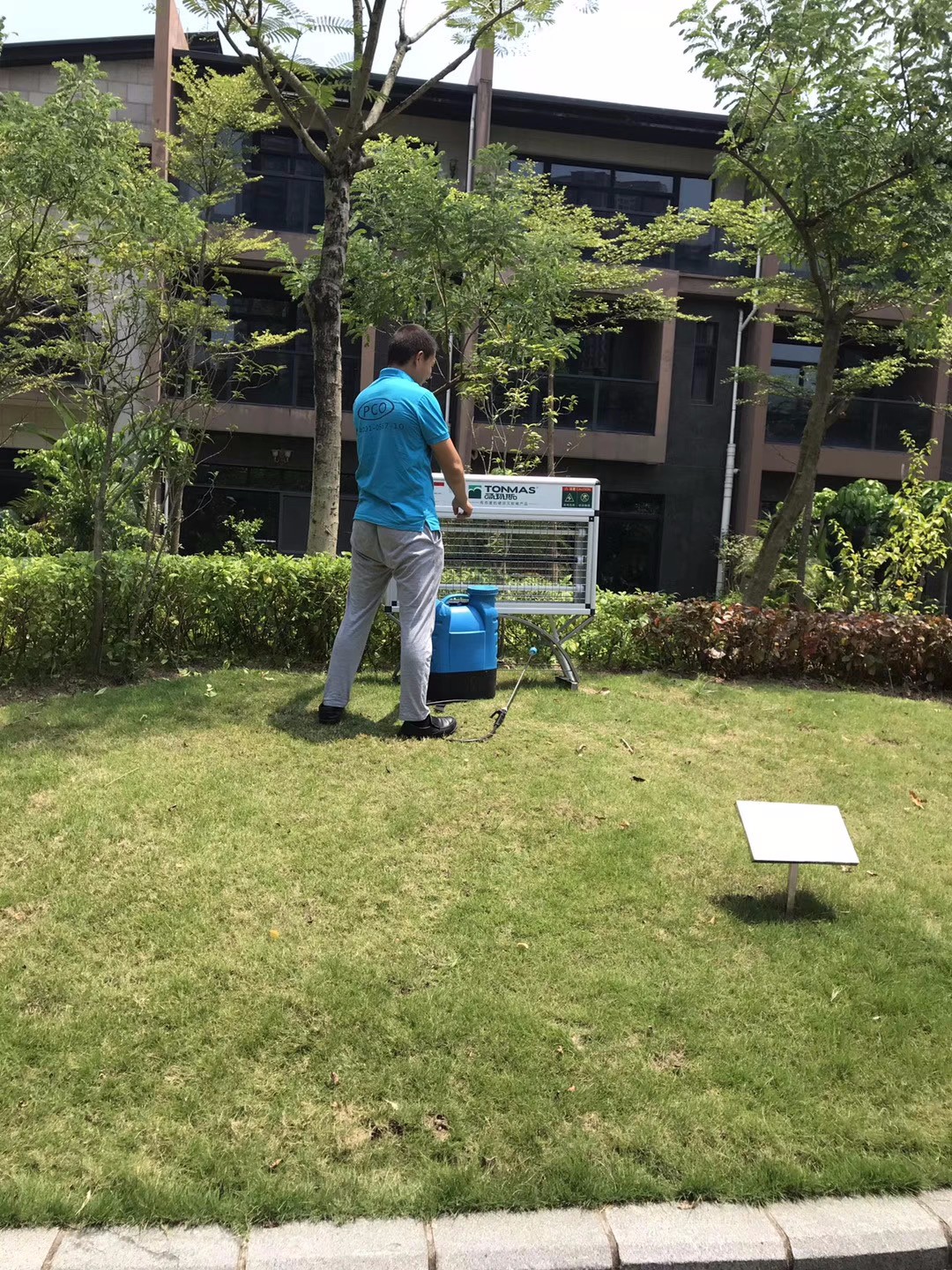 珠海 中山 白蚁防治的现状 彩九九