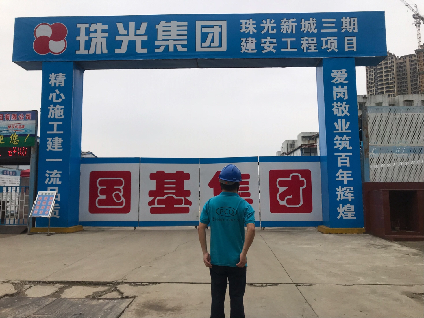 白蚁的危害及新装修预防 彩九九