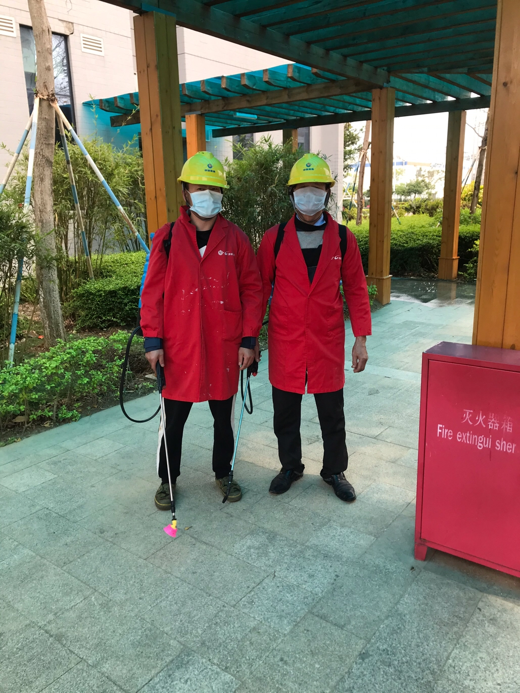 白蚁的危害及新装修预防 彩九九